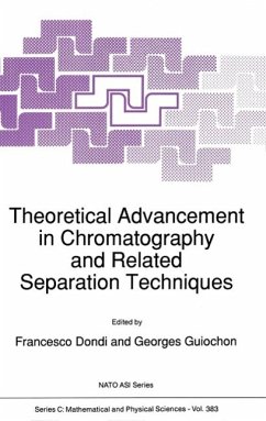 Theoretical Advancement in Chromatography and Related Separation Techniques (eBook, PDF)