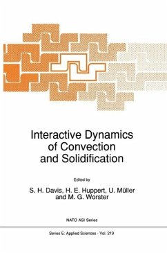 Interactive Dynamics of Convection and Solidification (eBook, PDF)