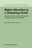 Higher Education in a Globalising World (eBook, PDF)