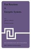 Fast Reactions in Energetic Systems (eBook, PDF)