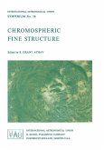 Chromospheric Fine Structure (eBook, PDF)
