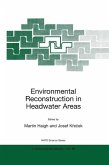 Environmental Reconstruction in Headwater Areas (eBook, PDF)