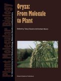 Oryza: From Molecule to Plant (eBook, PDF)