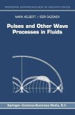 Pulses and Other Wave Processes in Fluids (eBook, PDF)