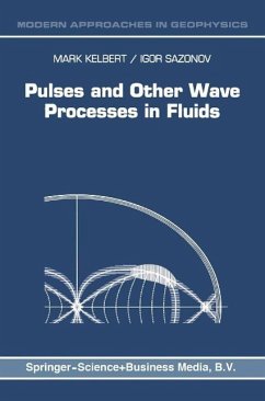 Pulses and Other Wave Processes in Fluids (eBook, PDF) - Kelbert, M.; Sazonov, I. A.