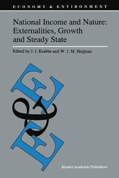 National Income and Nature: Externalities, Growth and Steady State (eBook, PDF)