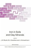 Iron in Soils and Clay Minerals (eBook, PDF)
