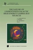The Nature of Unidentified Galactic High-Energy Gamma-Ray Sources (eBook, PDF)