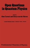 Open Questions in Quantum Physics (eBook, PDF)