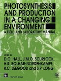 Photosynthesis and Production in a Changing Environment (eBook, PDF)