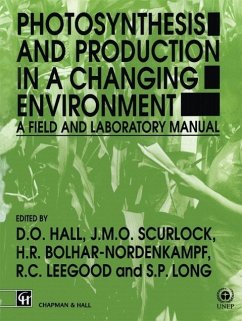 Photosynthesis and Production in a Changing Environment (eBook, PDF)