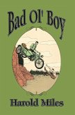 Bad Ol' Boy (eBook, PDF)