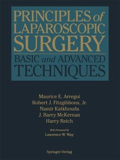 Principles of Laparoscopic Surgery (eBook, PDF)