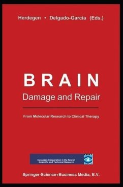 Cover Brain Damage and Repair (eBook, PDF)