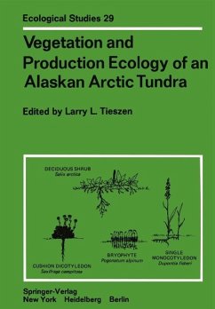 Cover Vegetation and Production Ecology of an Alaskan Arctic Tundra (eBook, PDF)