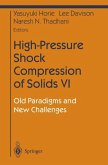 High-Pressure Shock Compression of Solids VI (eBook, PDF)
