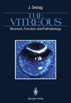 Cover The Vitreous (eBook, PDF)