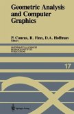 Geometric Analysis and Computer Graphics (eBook, PDF)