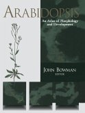 Arabidopsis (eBook, PDF)