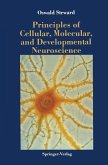 Principles of Cellular, Molecular, and Developmental Neuroscience (eBook, PDF)
