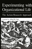 Experimenting with Organizational Life (eBook, PDF)
