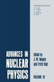 Advances in Nuclear Physics (eBook, PDF)