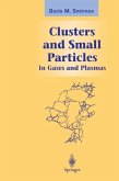 Clusters and Small Particles (eBook, PDF)