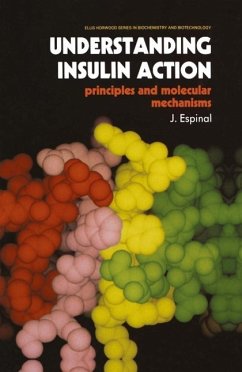 Understanding Insulin Action (eBook, PDF) - Espinal, J.
