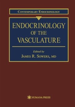 Endocrinology of the Vasculature (eBook, PDF)