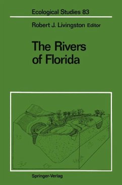 The Rivers of Florida (eBook, PDF)