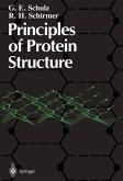 Principles of Protein Structure (eBook, PDF)