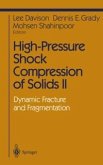 High-Pressure Shock Compression of Solids II (eBook, PDF)