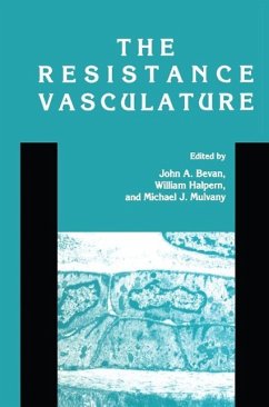 Cover The Resistance Vasculature (eBook, PDF)