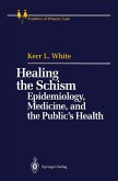 Healing the Schism (eBook, PDF)
