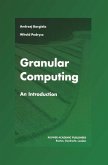 Granular Computing (eBook, PDF)