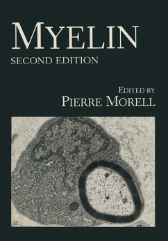 Myelin (eBook, PDF)