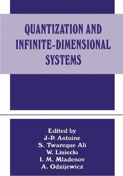 Cover Quantization and Infinite-Dimensional Systems (eBook, PDF)