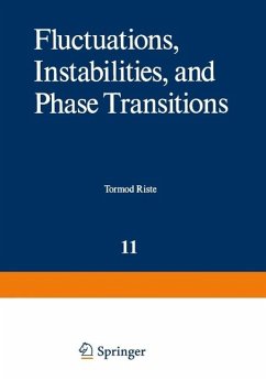 Fluctuations, Instabilities, and Phase Transitions (eBook, PDF)