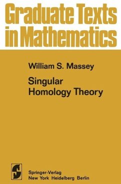 Cover Singular Homology Theory (eBook, PDF)