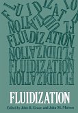 Fluidization (eBook, PDF)