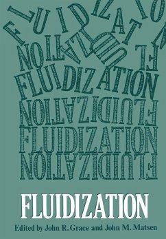 Fluidization (eBook, PDF) - Matsen, John M.; Grace, John R.