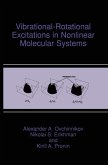 Vibrational-Rotational Excitations in Nonlinear Molecular Systems (eBook, PDF)