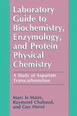 Laboratory Guide to Biochemistry, Enzymology, and Protein Physical Chemistry (eBook, PDF)