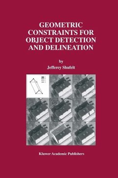 Cover Geometric Constraints for Object Detection and Delineation (eBook, PDF)