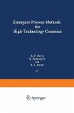 Emergent Process Methods for High-Technology Ceramics (eBook, PDF)