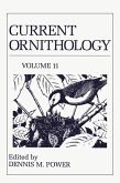 Current Ornithology (eBook, PDF)