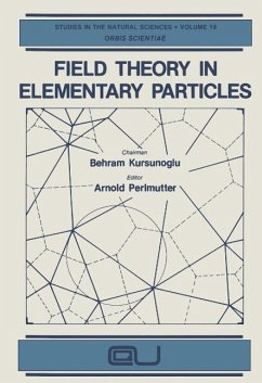 Cover Field Theory in Elementary Particles (eBook, PDF)