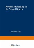 Parallel Processing in the Visual System (eBook, PDF)