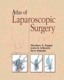 Atlas of Laparoscopic Surgery (eBook, PDF)