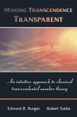 Making Transcendence Transparent (eBook, PDF)